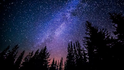 worm's eye view of trees during night time night sky teams background