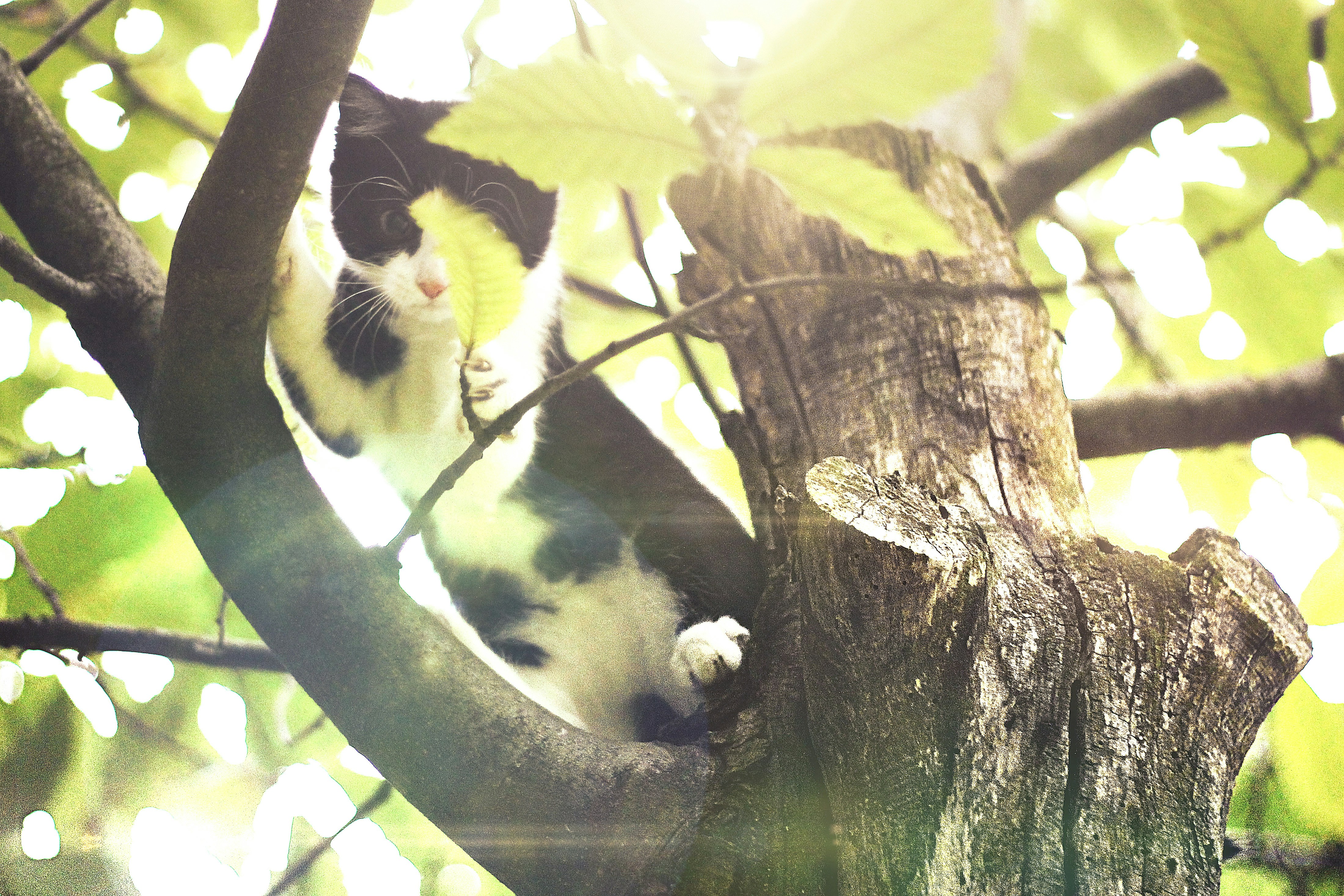 Free Unsplash photo from Martijn Winters