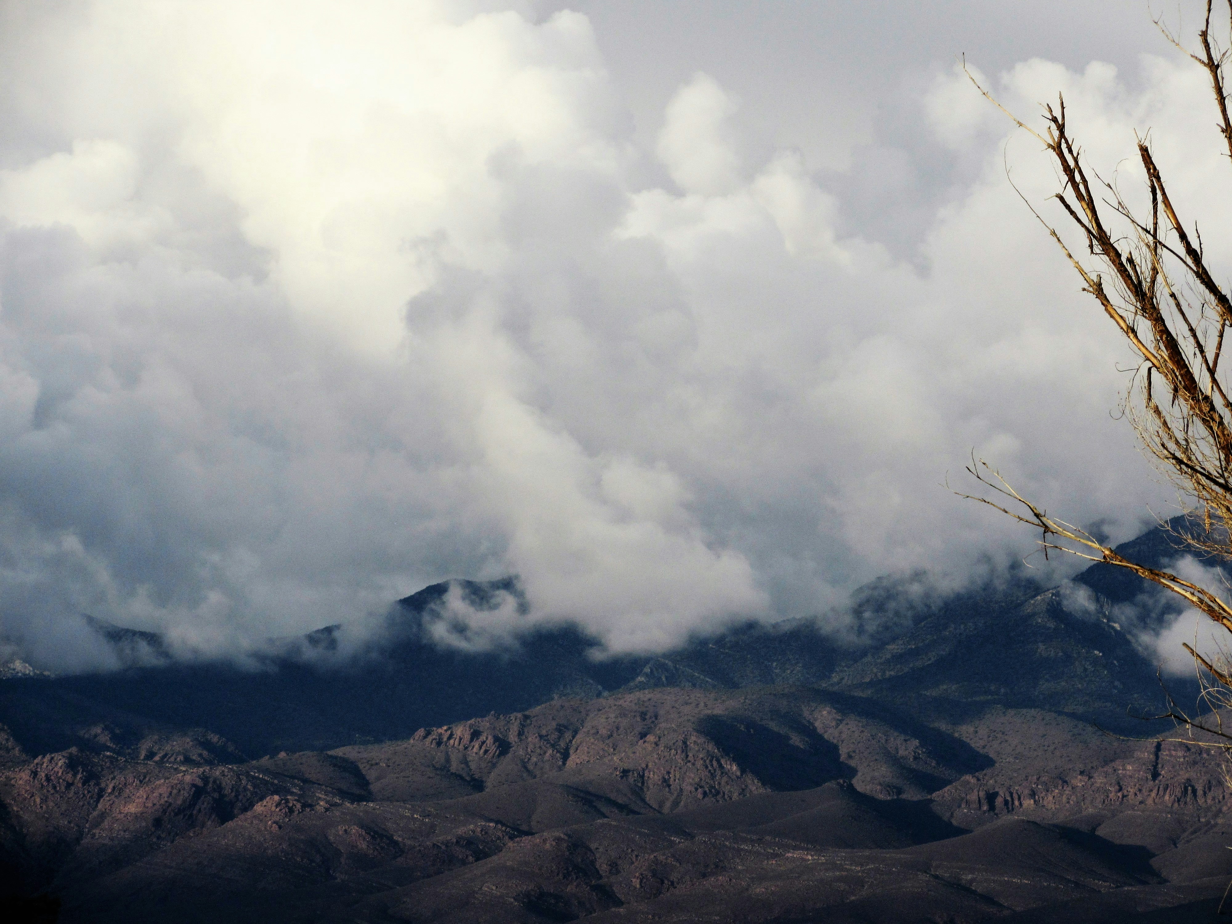 Free Unsplash photo from Jonathan Castor