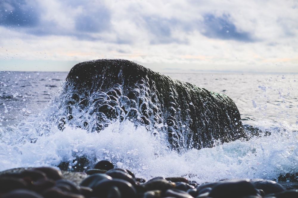 rock formation in body of water