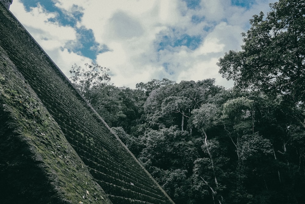 concrete stairs near green trees during daytime