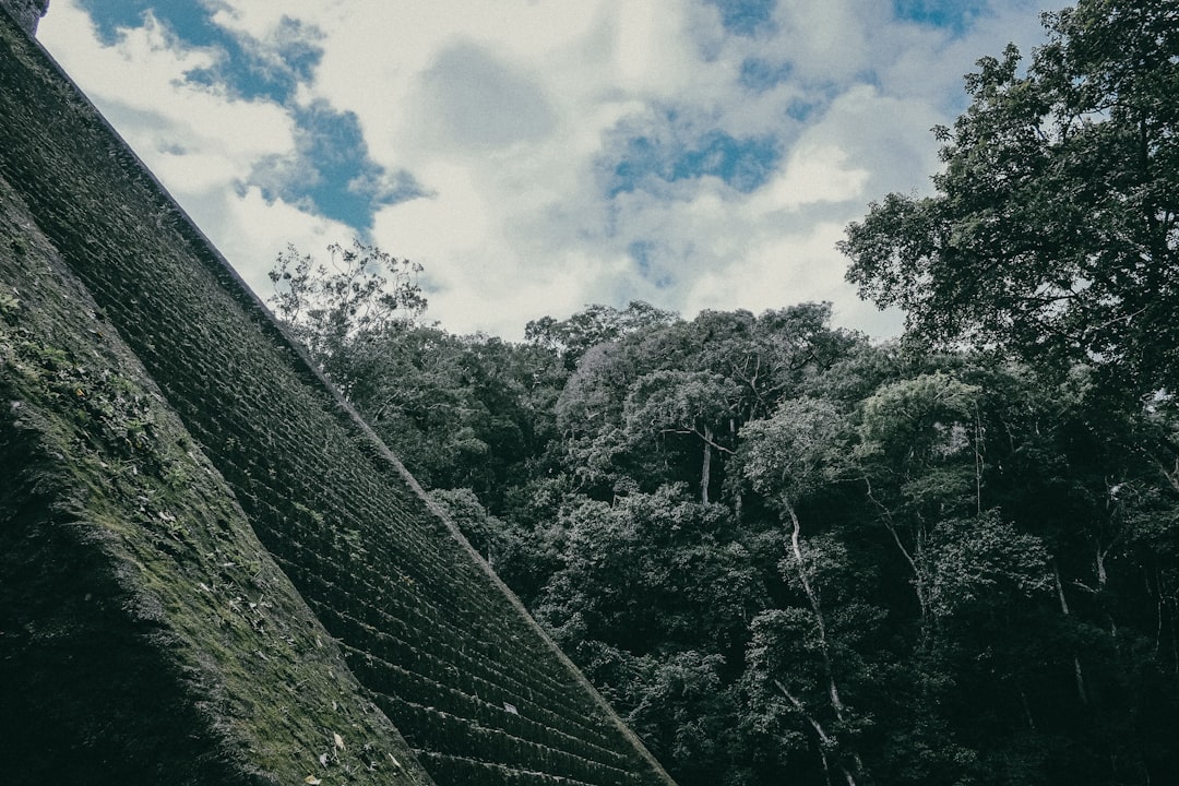 Jungle photo spot Aguas Calientes Ollantaytambo