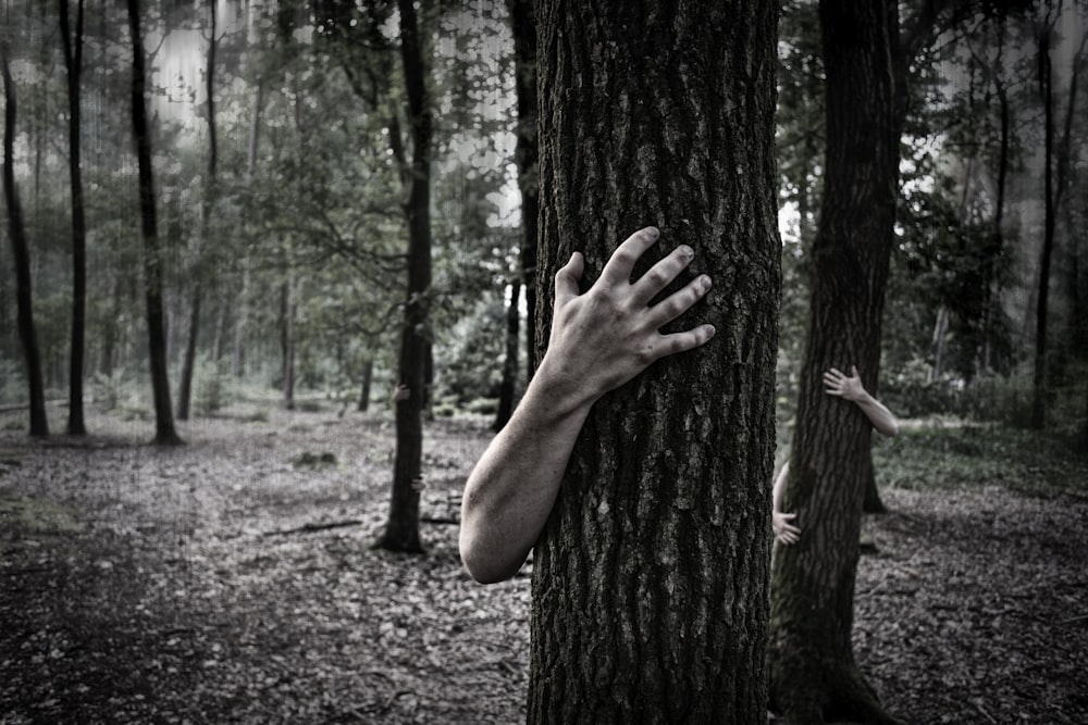 صورة مرعبة لاشباح تحتضن الاشجار وسط الغابة
