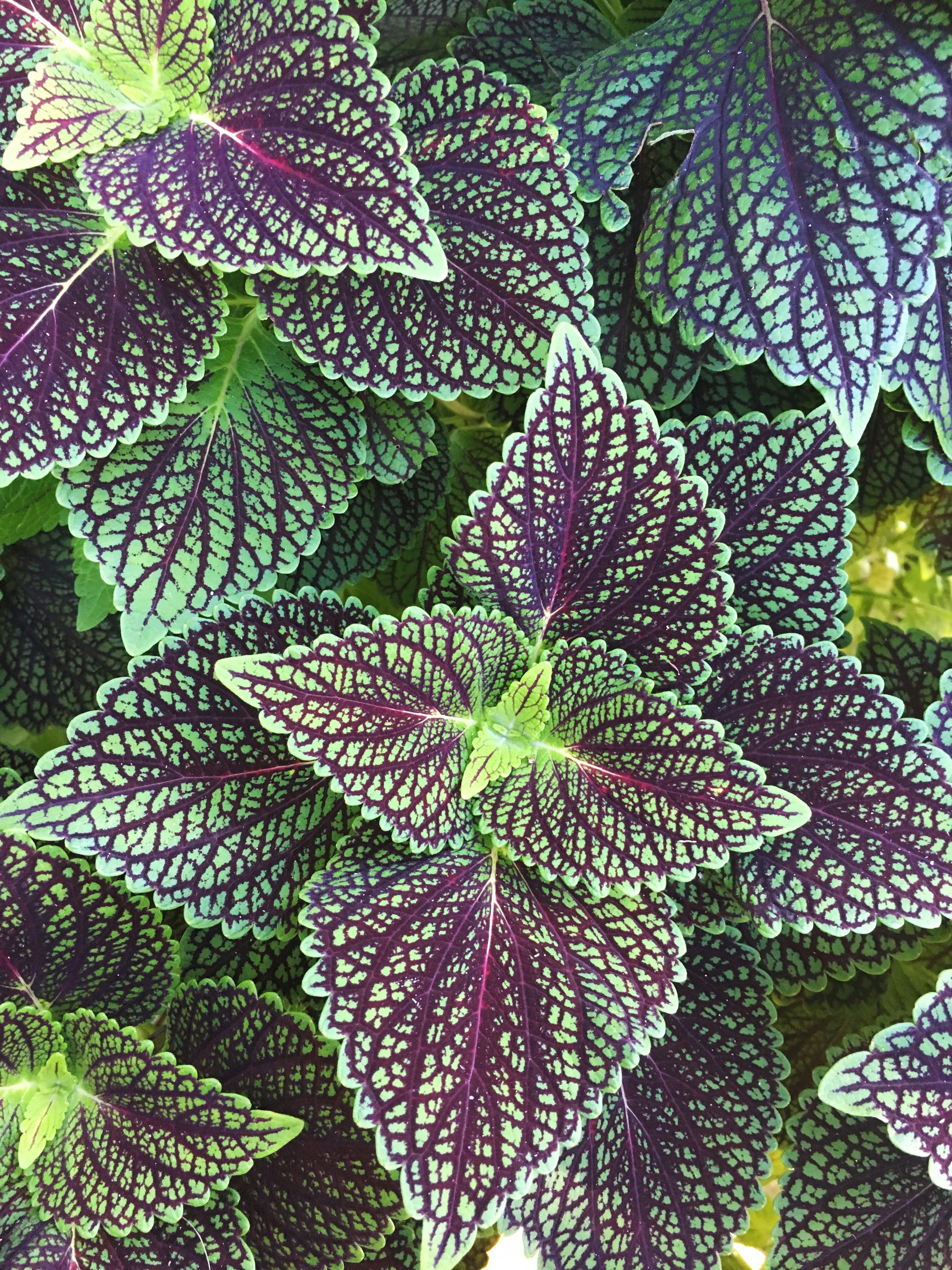 Free Unsplash photo from Cierra Woodard