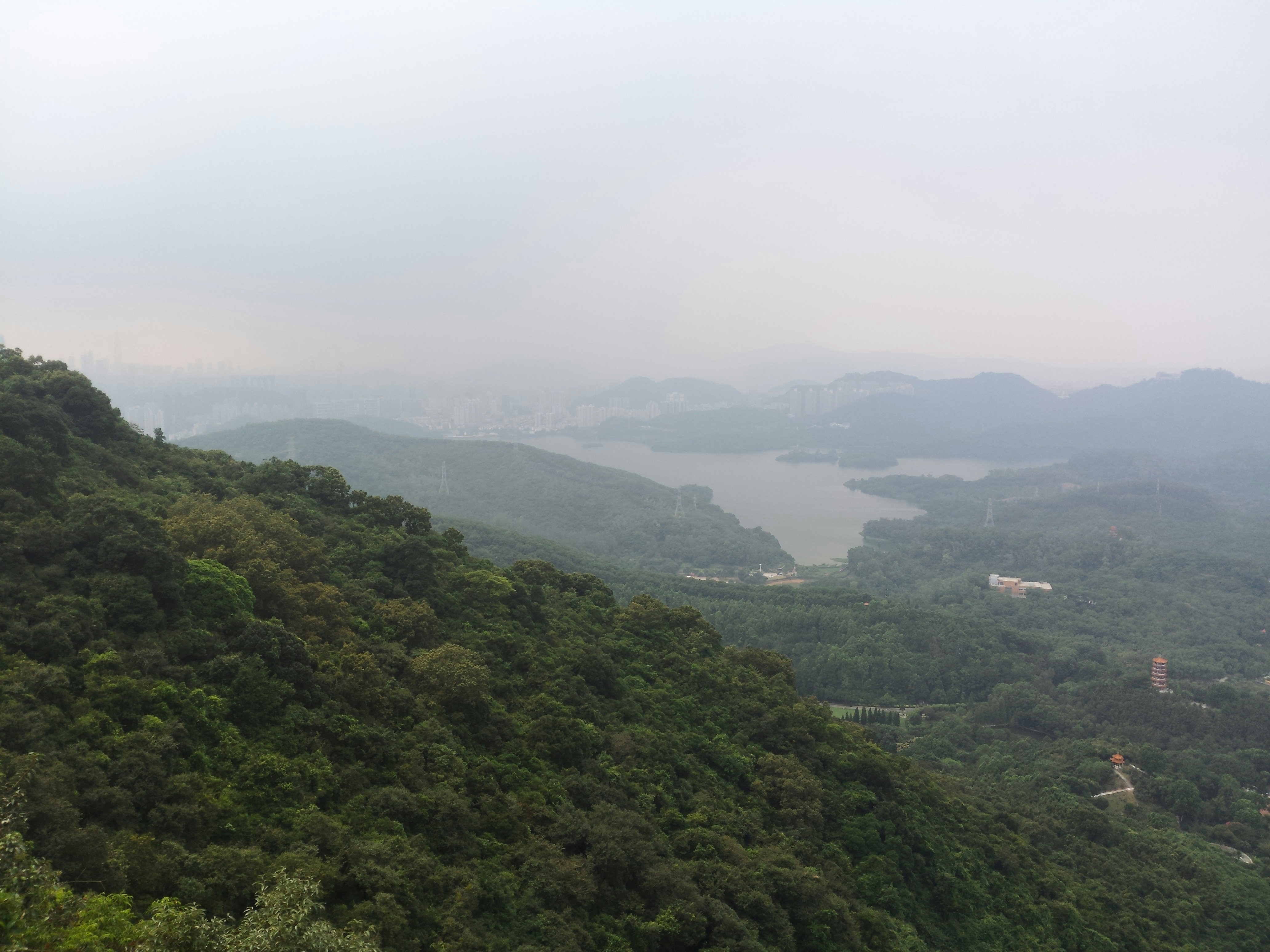 Free Unsplash photo from le liu