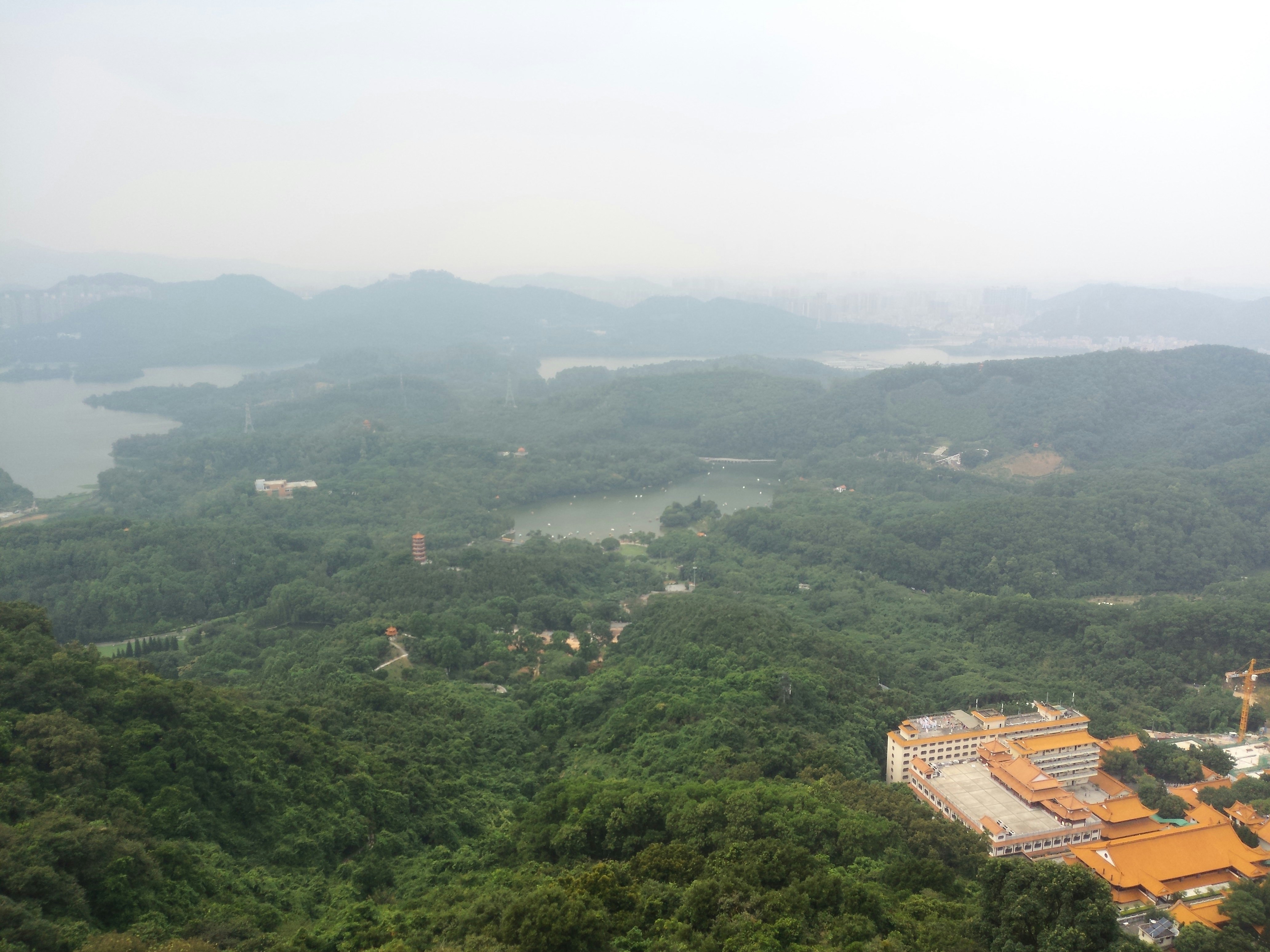 Free Unsplash photo from le liu