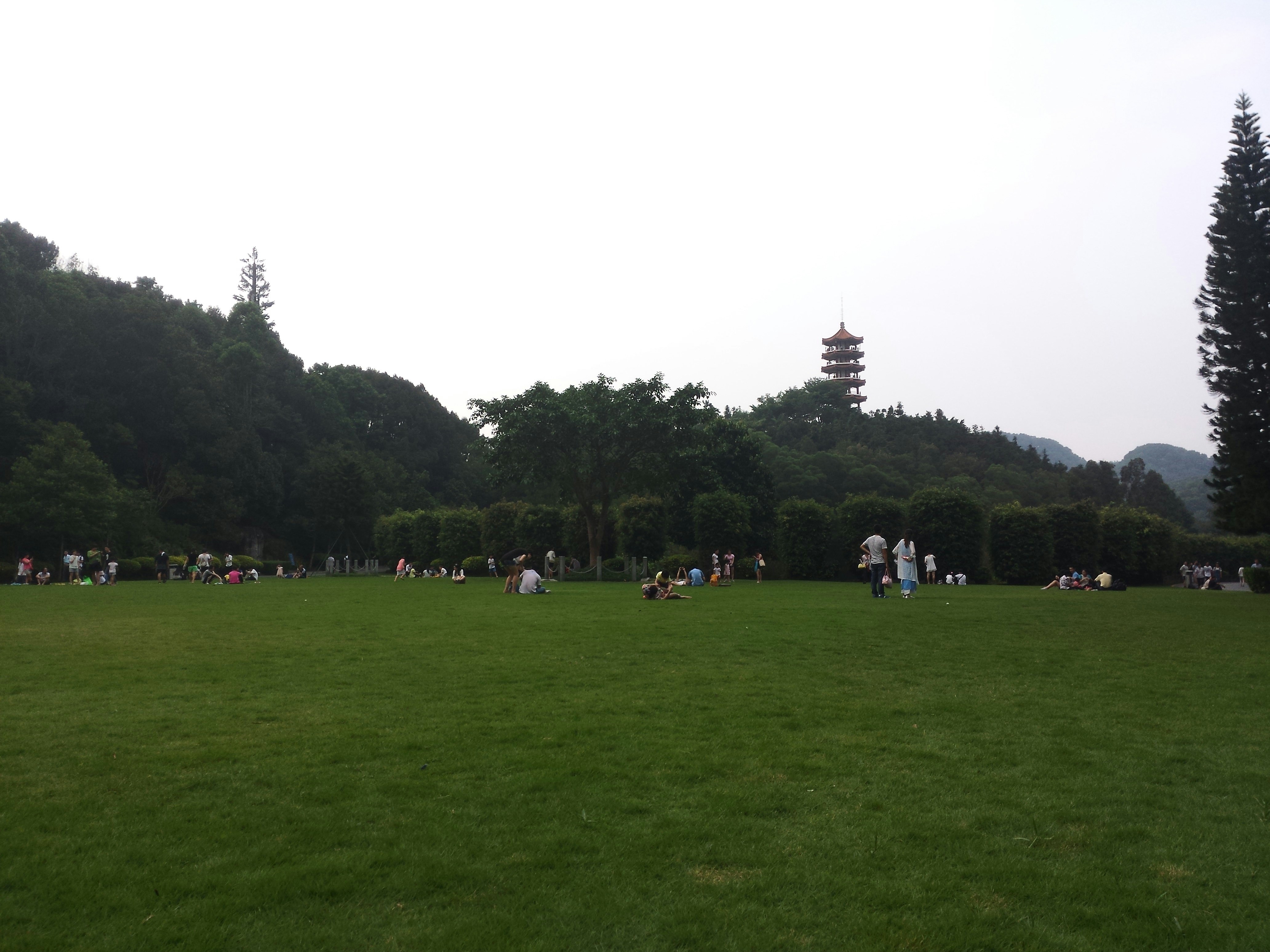 Free Unsplash photo from le liu