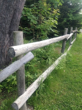 A wooden fence runs diagonally through a grassy area, bordered by dense green foliage and a large tree trunk. The fence is made of weathered logs and blends into the natural landscape.