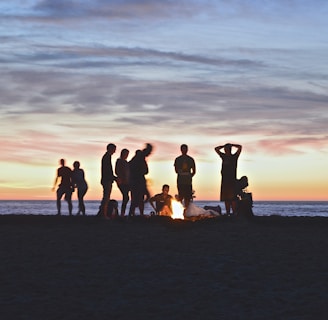 group of people setting up beach campfire in Tofino