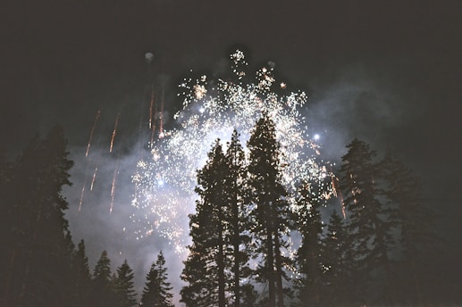 Fireworks light up the night sky, illuminating tall silhouettes of trees in the foreground with bursts of bright colors. The scene is a blend of natural beauty and celebratory spectacle, as sparks and light trails descend amidst the darkness.