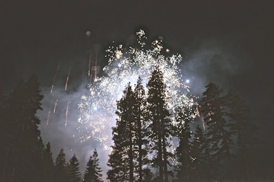 Fireworks illuminating a wedding celebration outdoors at dusk.