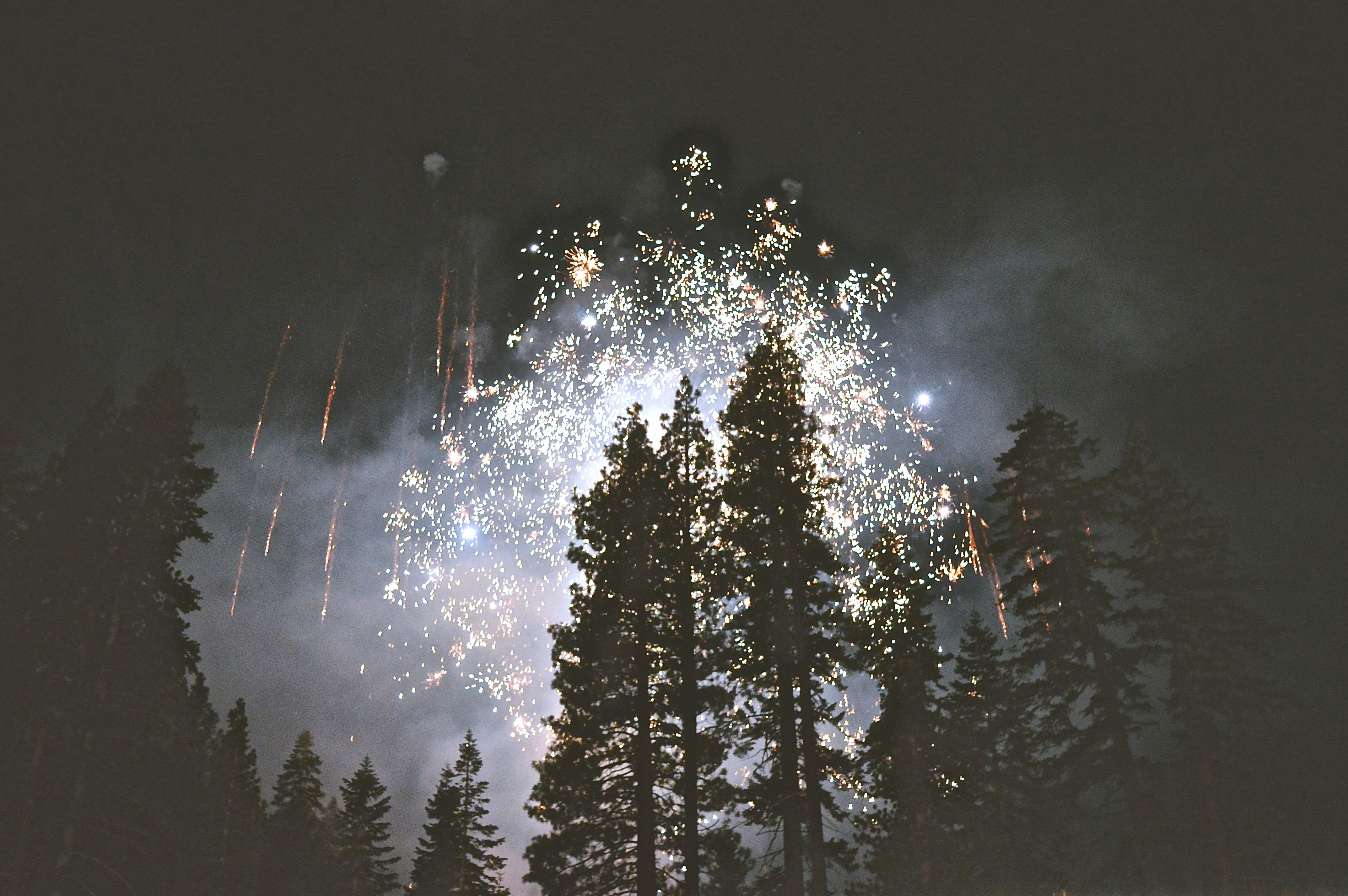 Celebrations near a forest