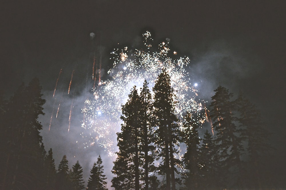 fireworks display