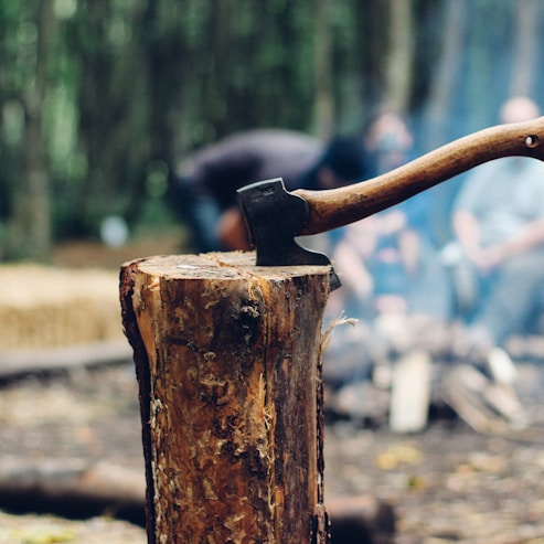 axe on tree log next to people sitting next to bonfire