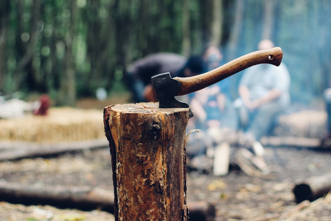 axe on tree log next to people sitting next to bonfire, Splitting logs