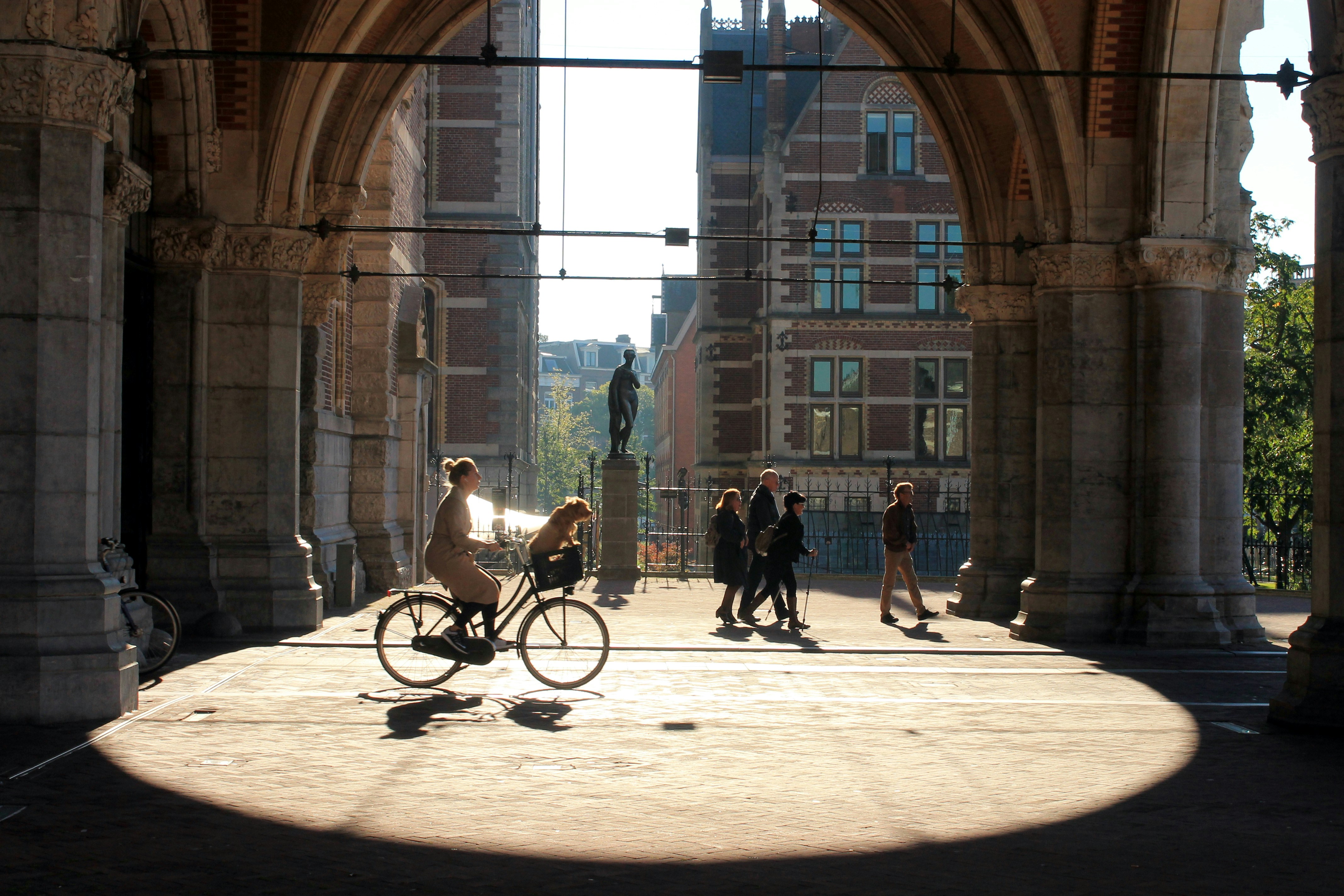 Free Unsplash photo from Marjolijn van den Berg