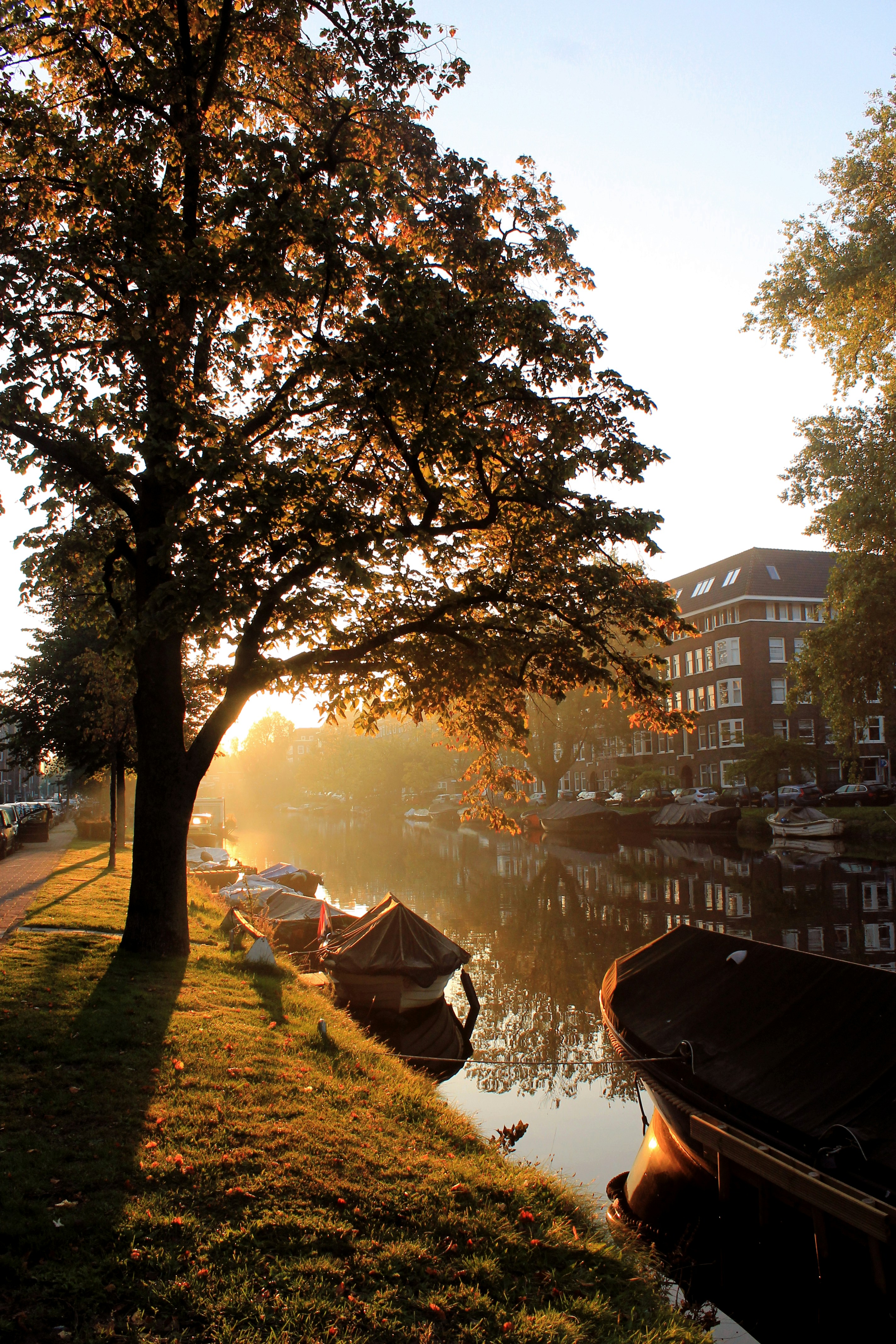 Free Unsplash photo from Marjolijn van den Berg