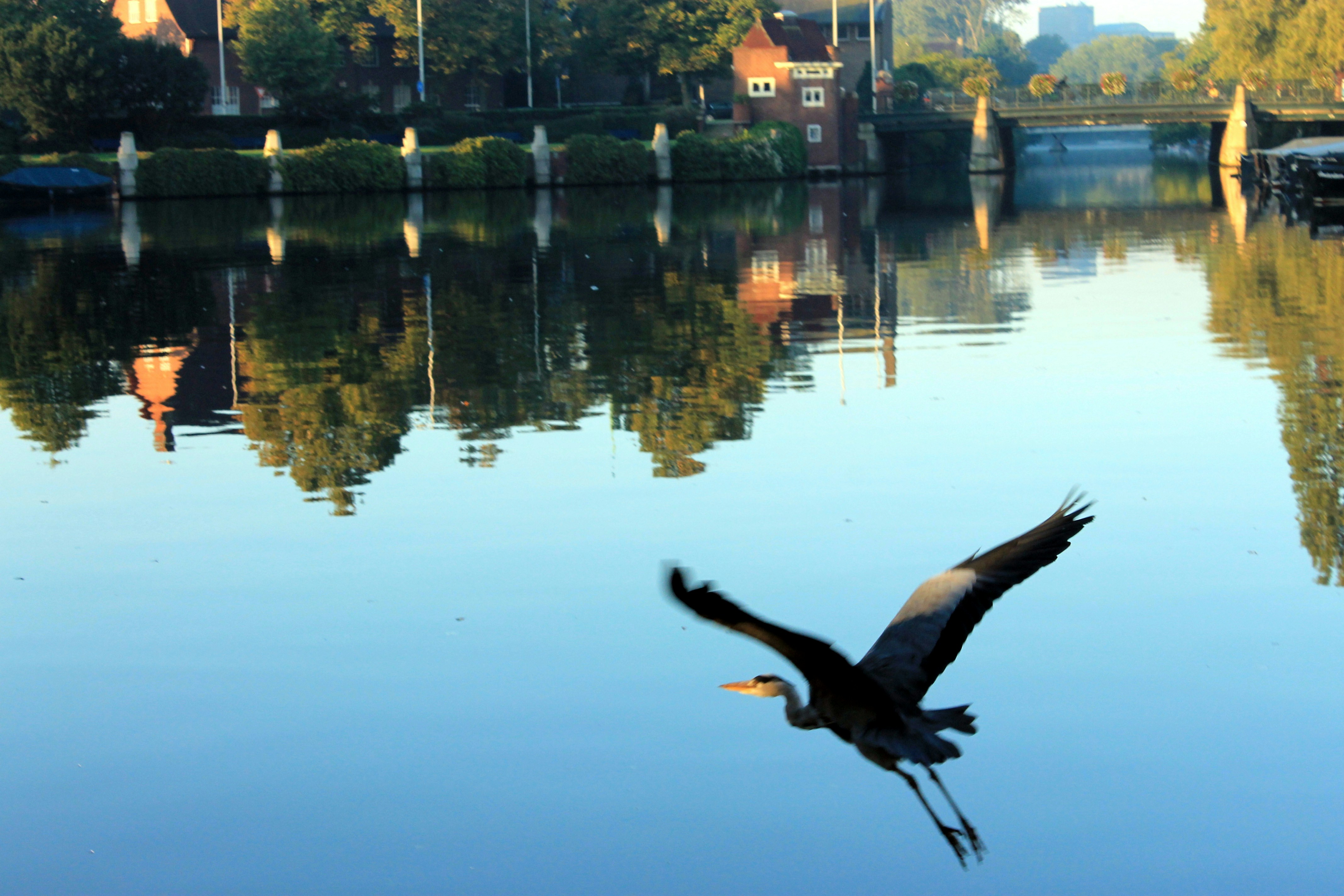 Free Unsplash photo from Marjolijn van den Berg