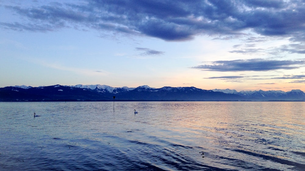 body of water in front of the mountain