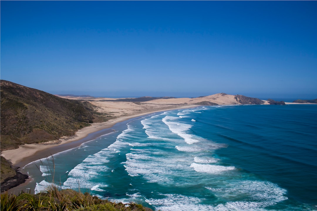 aerial photography of seashore