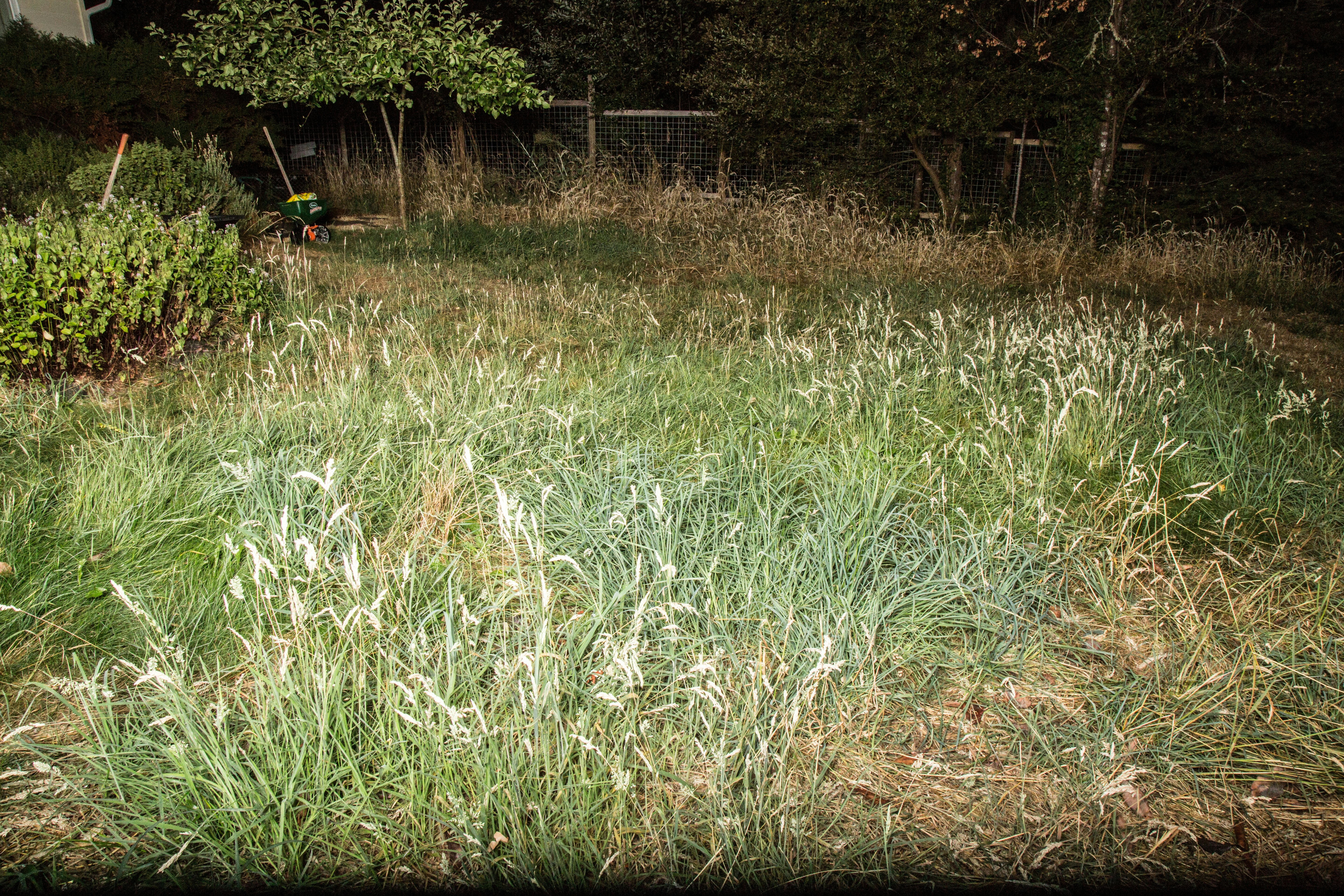 Free Unsplash photo from Sam McJunkin