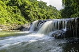 waterfall surrounded by forest