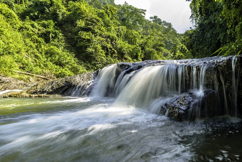 Waterfall surrounded by dense tropical foliage