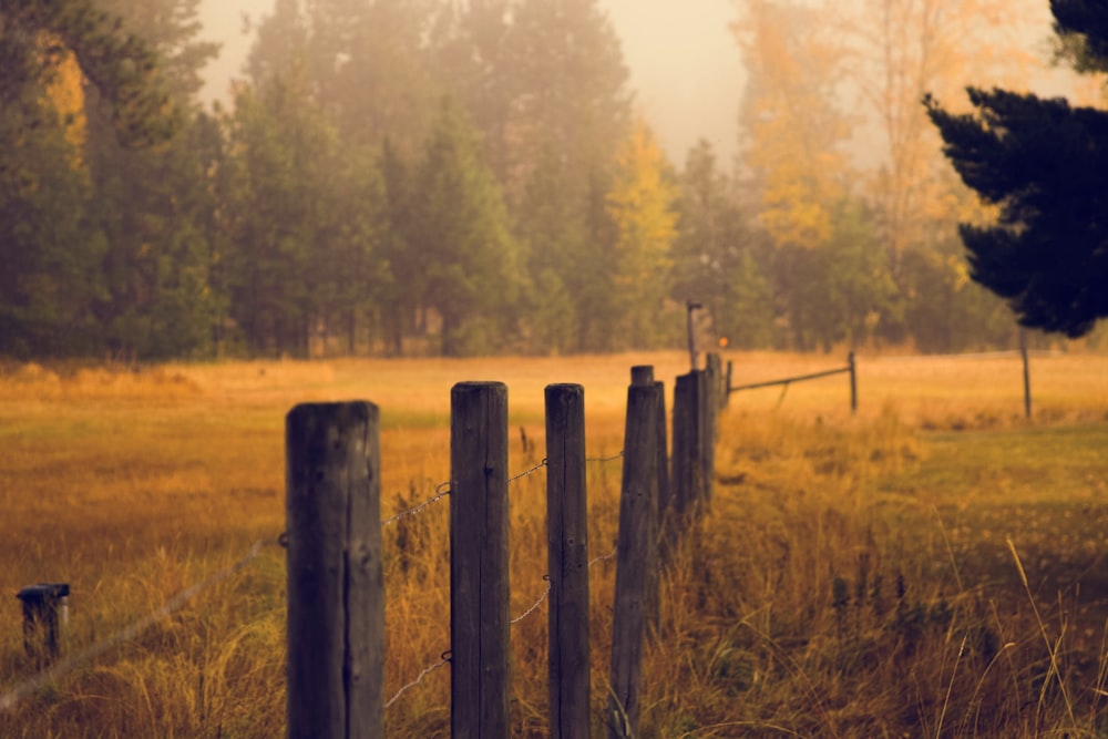 gray wooden fence post near green leaf trees at daytime