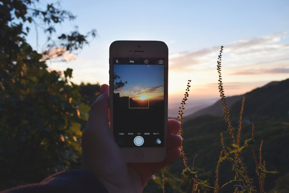 A sunset is taken through the camera of an iPhone as a snapshot against foliage and mountains.