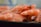 A close-up view of several cooked prawns, showcasing their vibrant orange shells and detailed textures. The image captures the prawns arranged haphazardly, with focus on one prawn at the center.