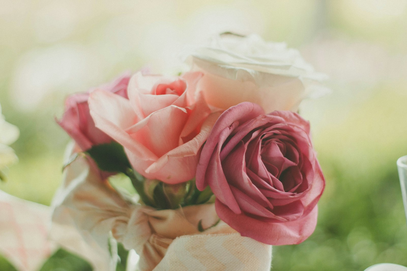 Canon EOS 7D + Canon EF 50mm F1.8 II sample photo. Pink and white roses photography