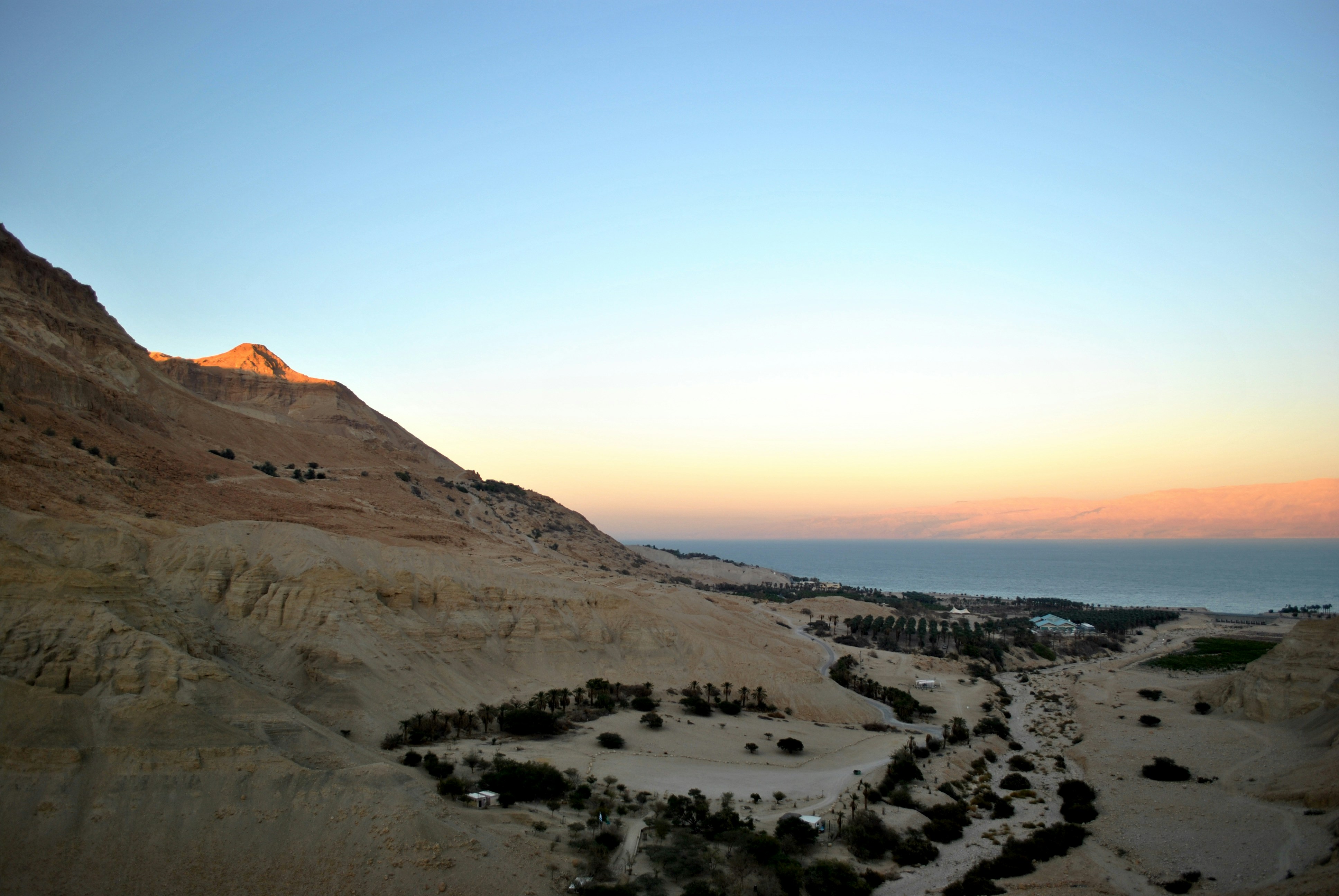 Free Unsplash photo from Hannah Gut