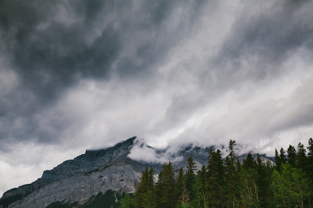 gray rocky mountain near green trees under white clouds