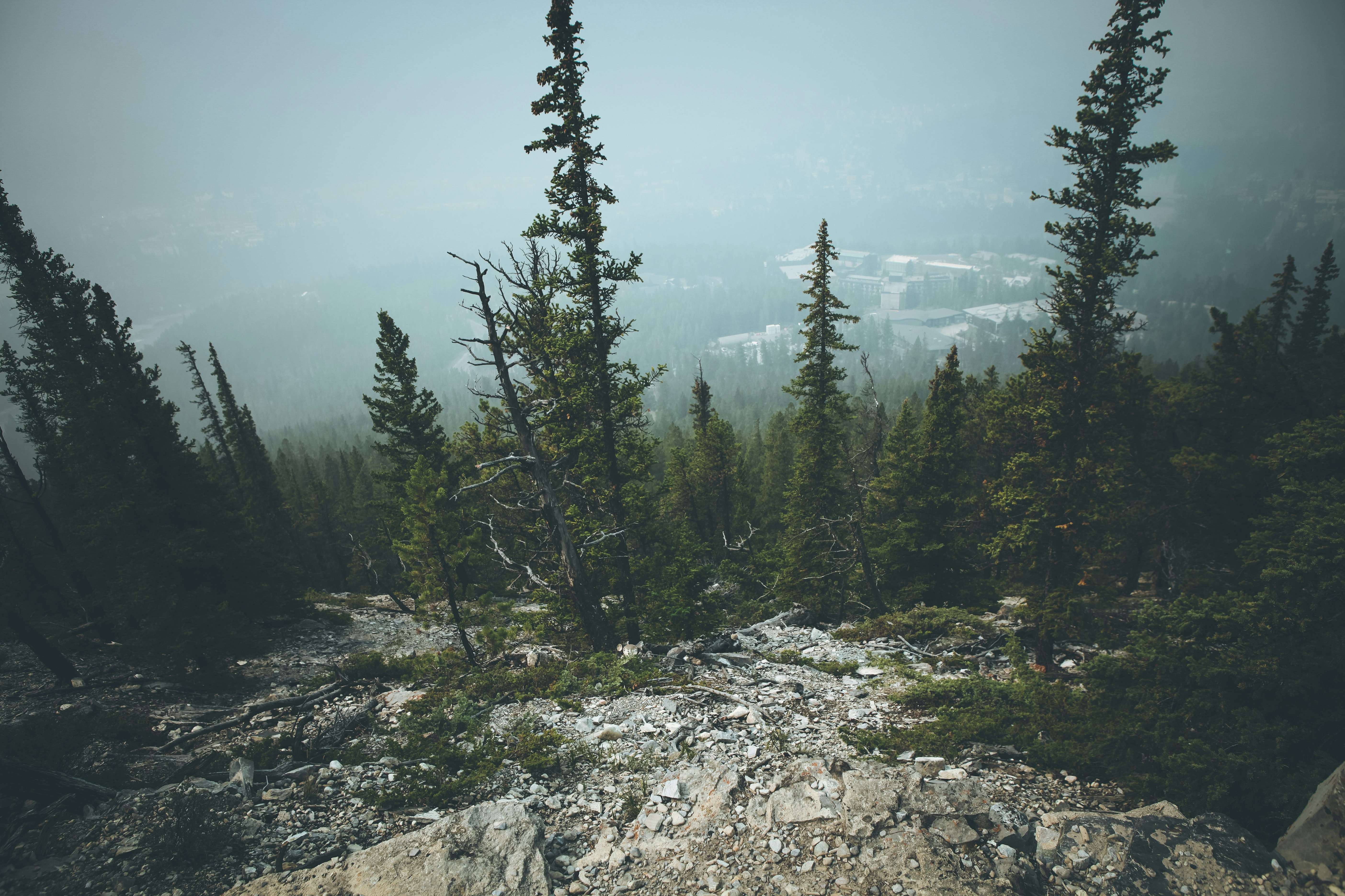 Free Unsplash photo from Megan  Lewis