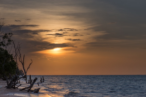 Exploring Suriname: A Comprehensive Travel Guide