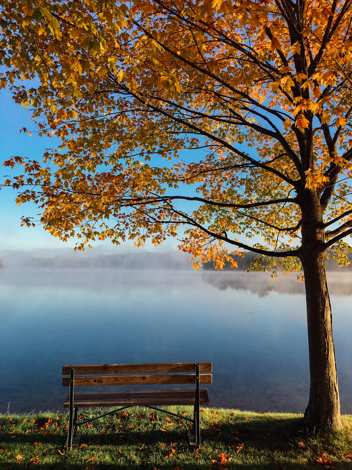 Tree Service & Arborist Insurance Warren County New Jersey — Kevin Brown Insurance Agency serving Warren County