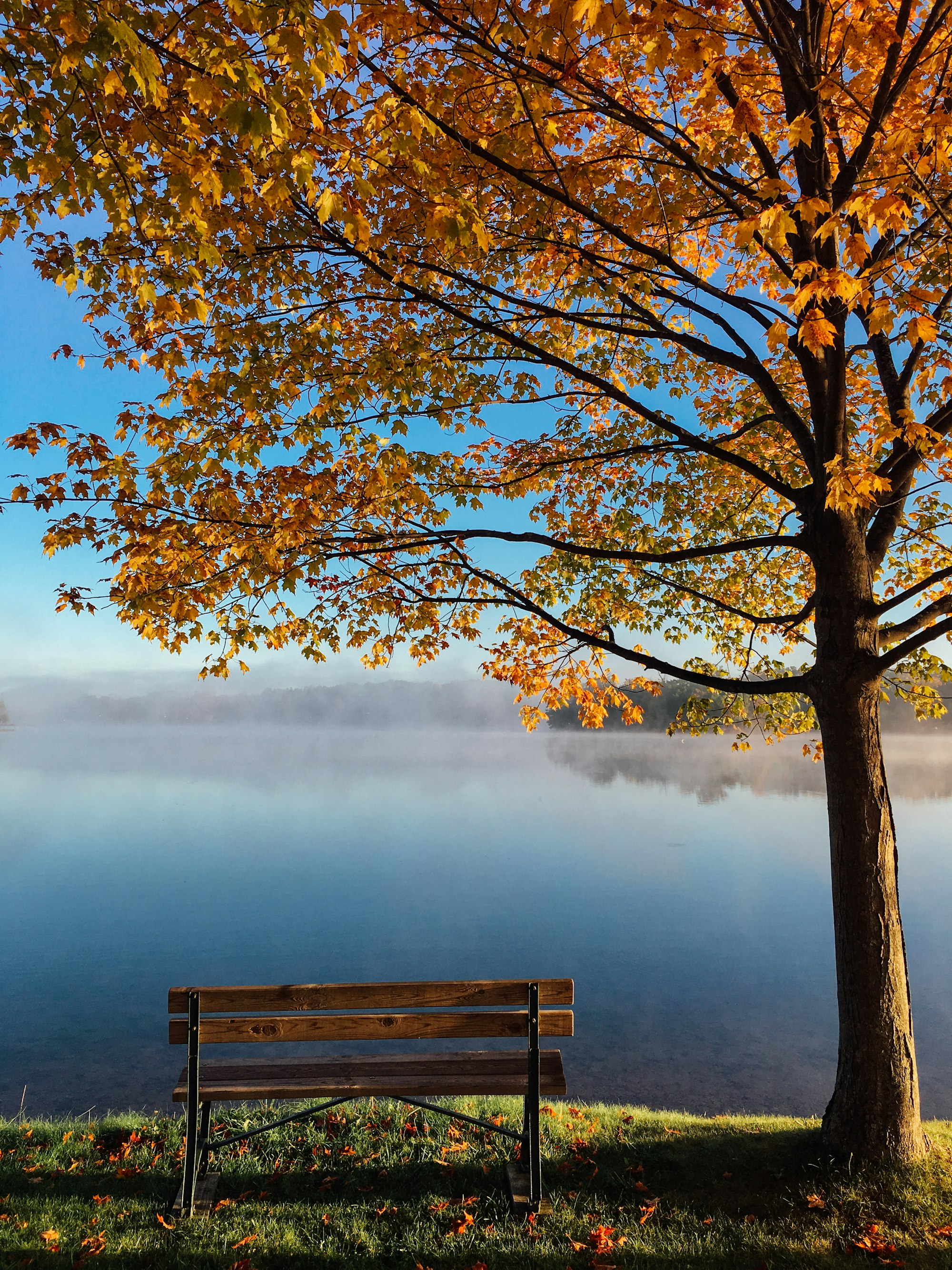 The Autumnal Man