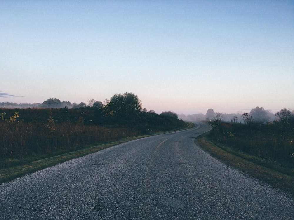 empty road between green leaf trees