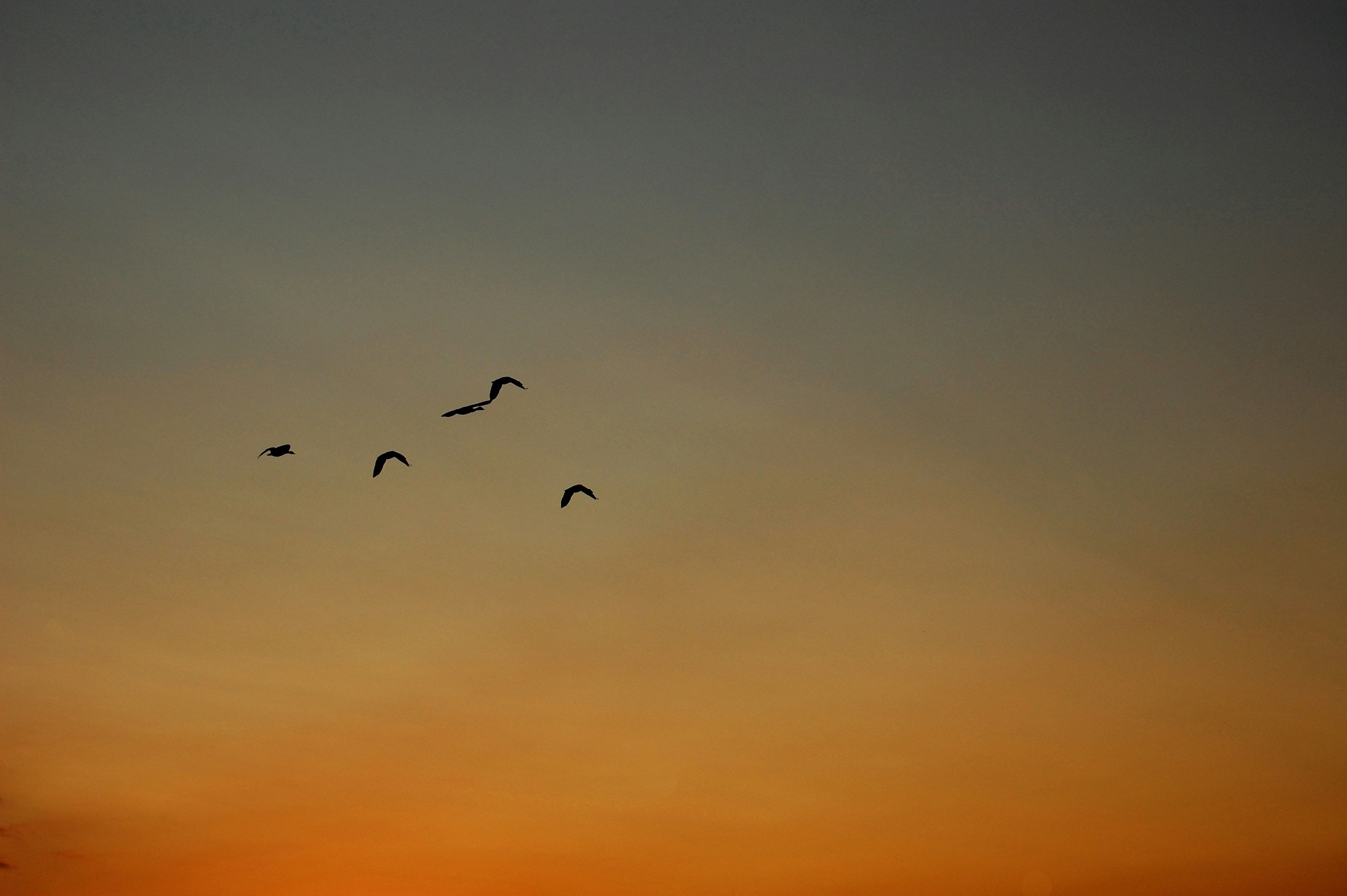 Free Unsplash photo from Vasil Kunchev