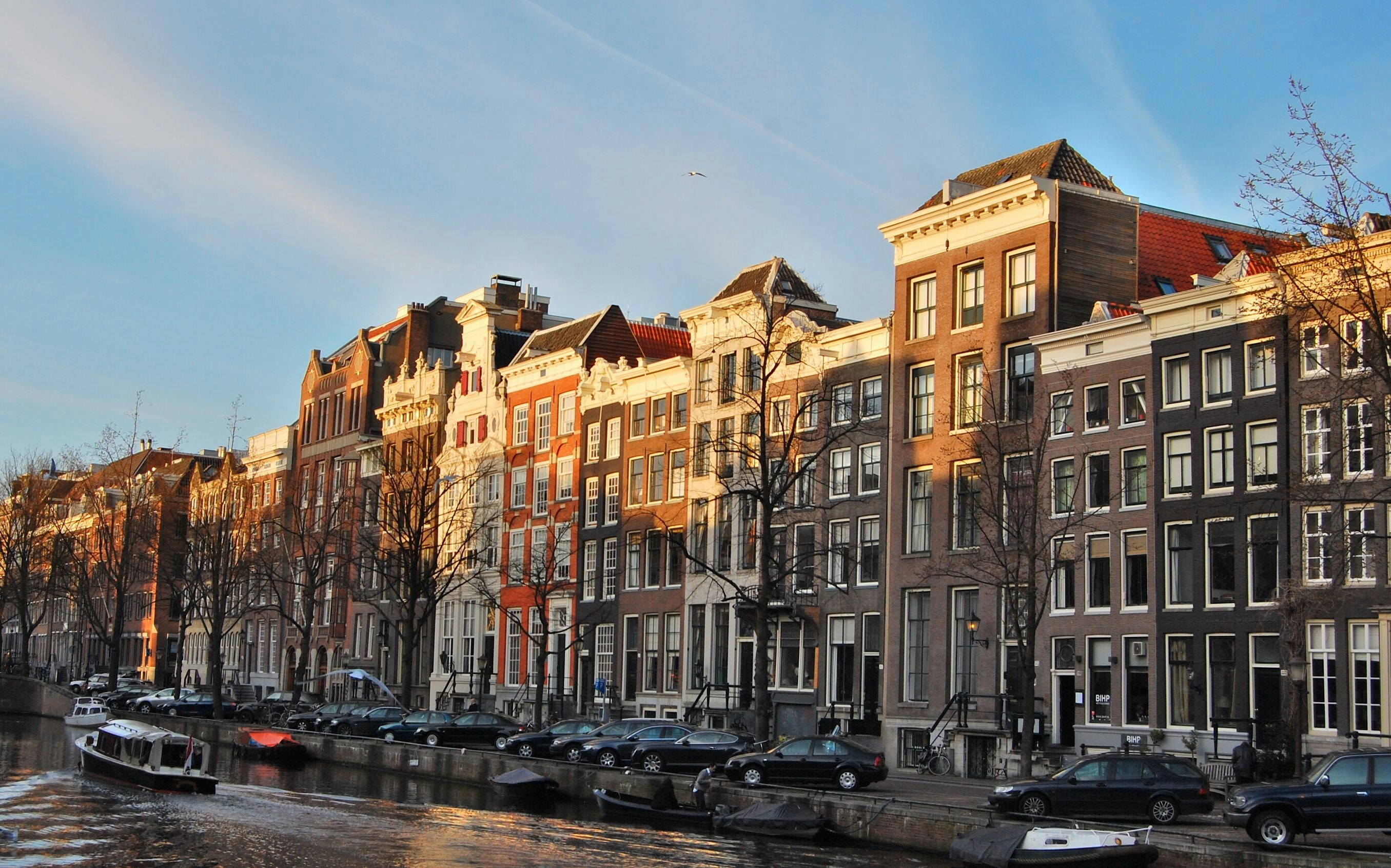 Free Unsplash photo from Vasil Kunchev