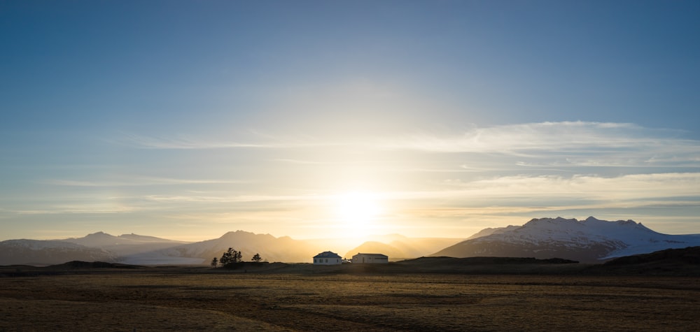 Braunes Grasfeld unter blauem Himmel während der goldenen Stunde