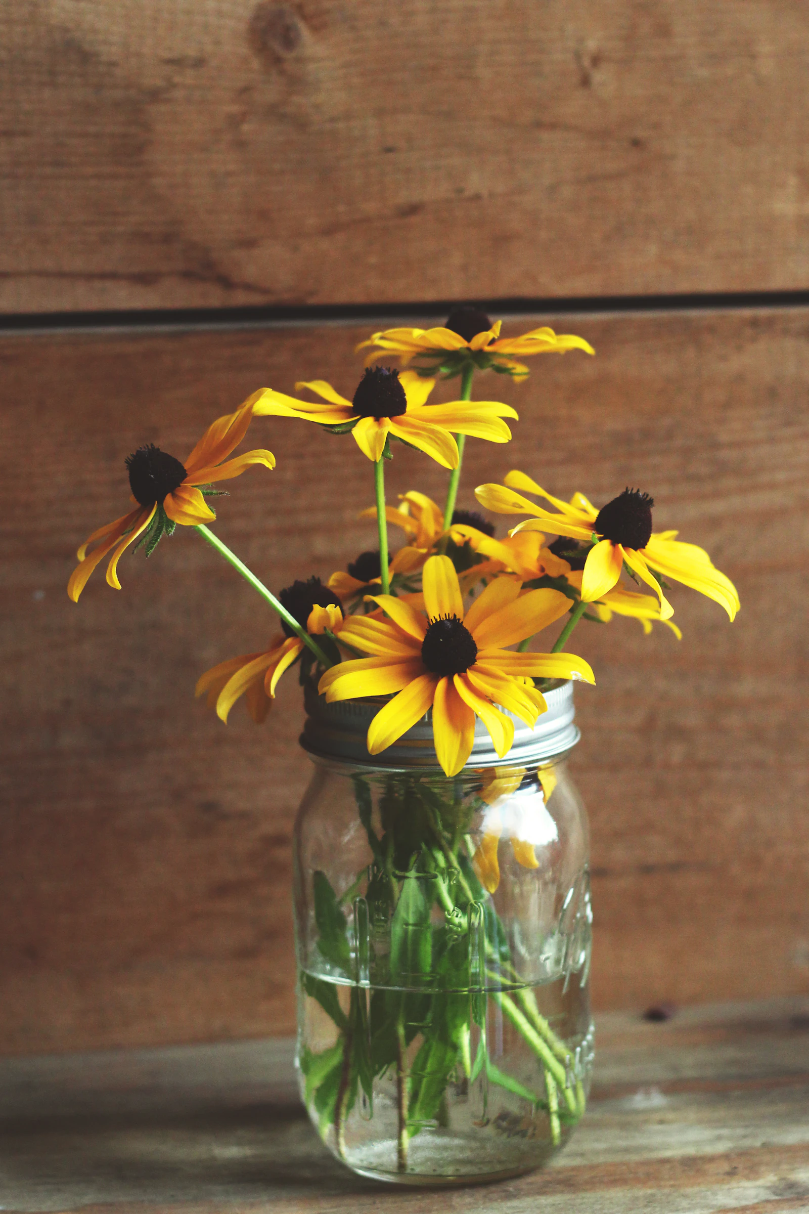 Yellow sunflowers arranged in a mason jar