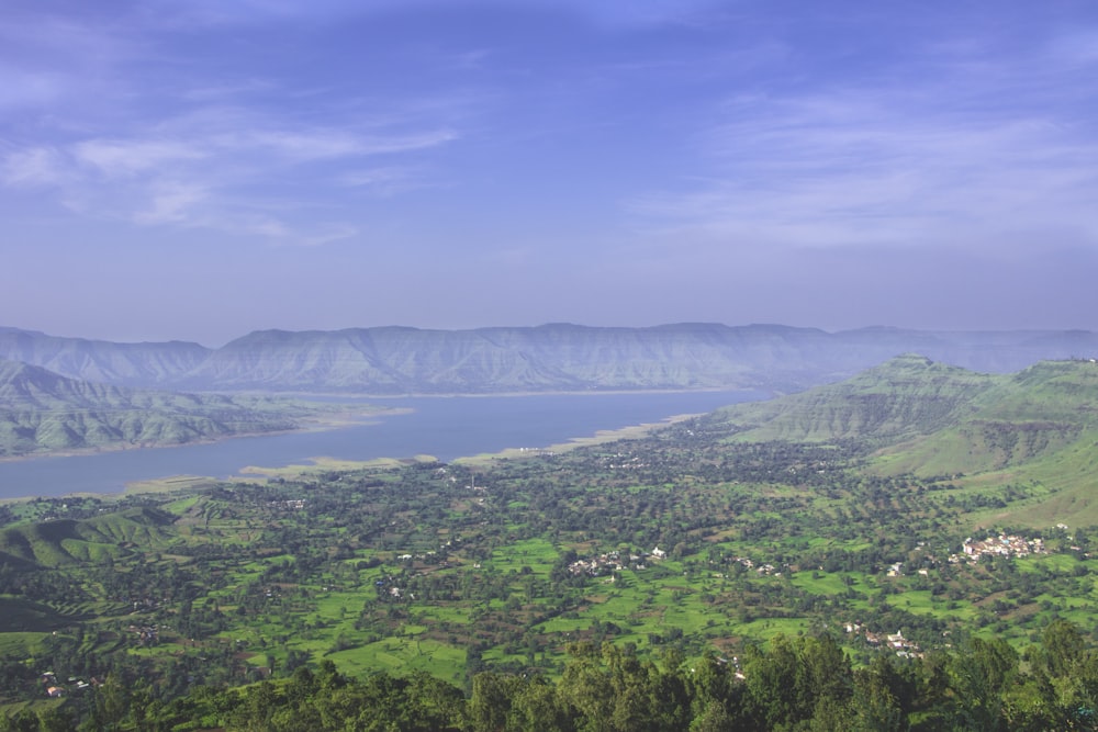 aerial photography of village surrounded by green trees