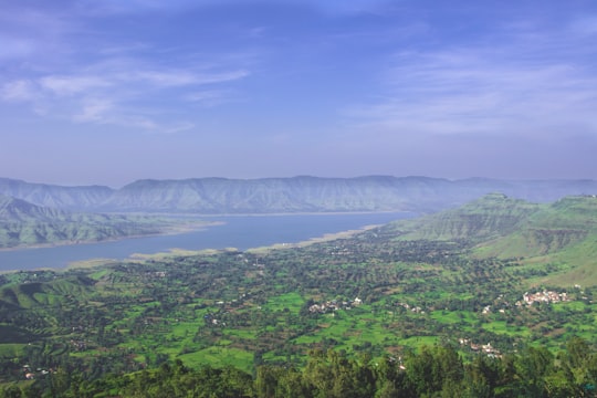 aerial photography of village surrounded by green trees in Parsi Point India