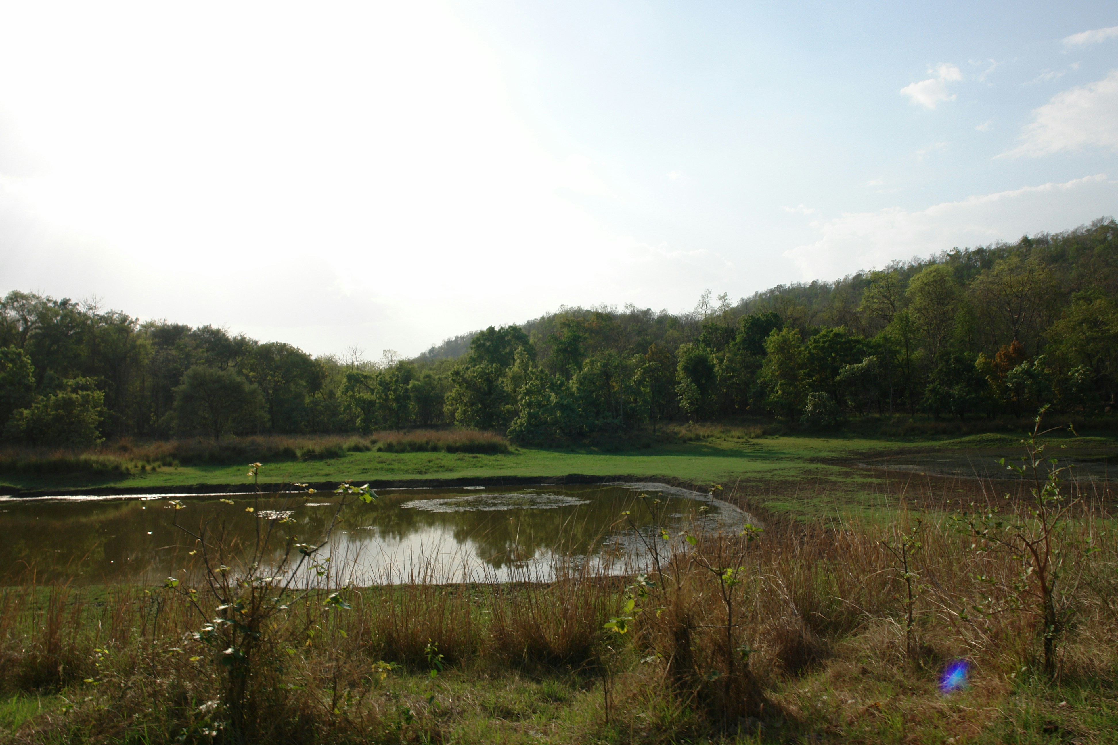 Free Unsplash photo from Harsh  Jain