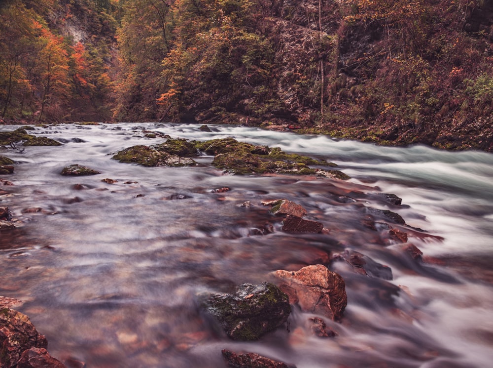 timelapse photography of river