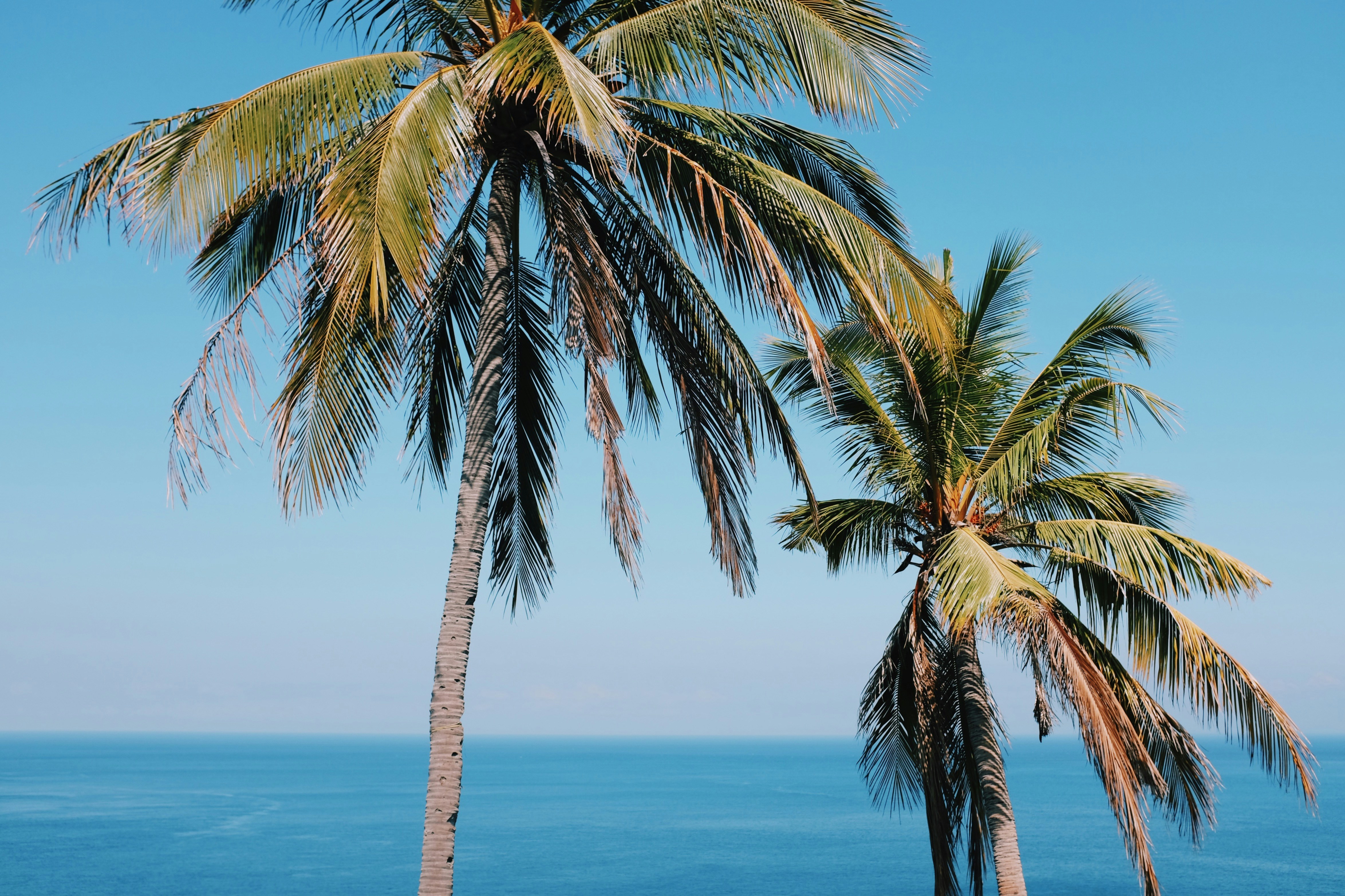 Free Unsplash photo from Izzat Sulaiman