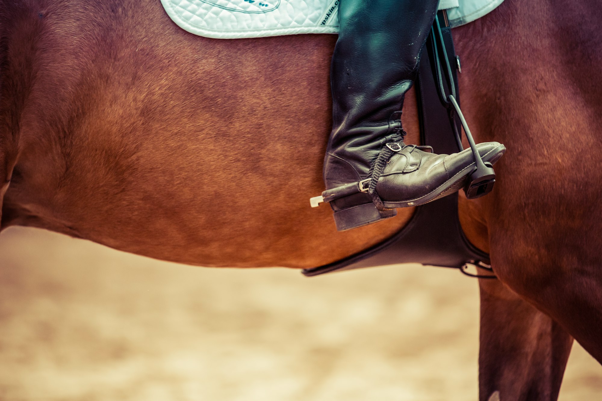 Falling Off Our Horse