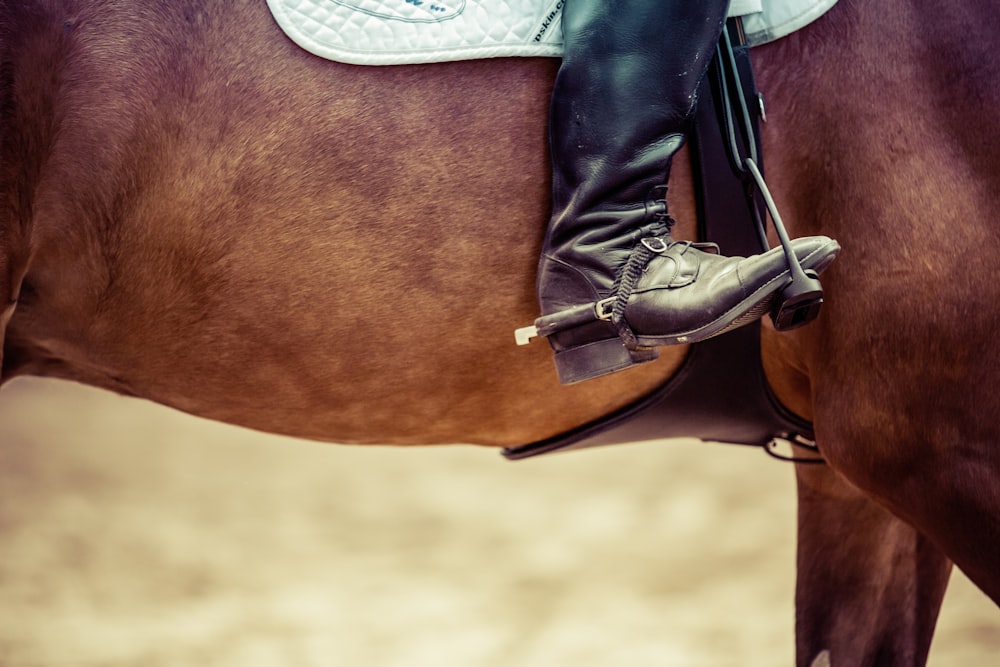 person riding horse