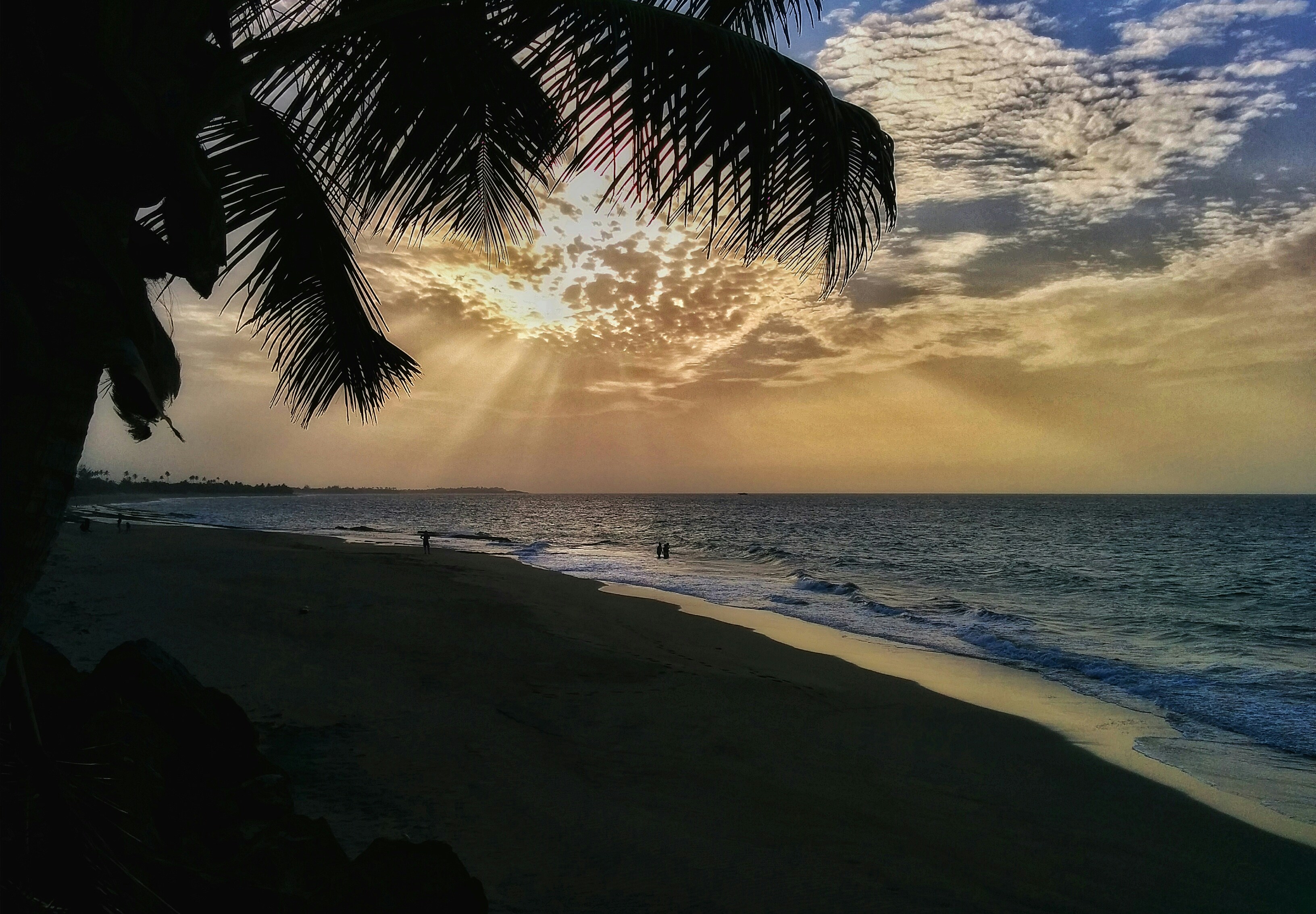 Free Unsplash photo from Angel De Jesus